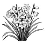 Blooming Jonquil Cluster