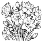 Jonquil Cluster