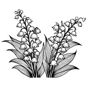 Graceful Lily of the Valley Flowers