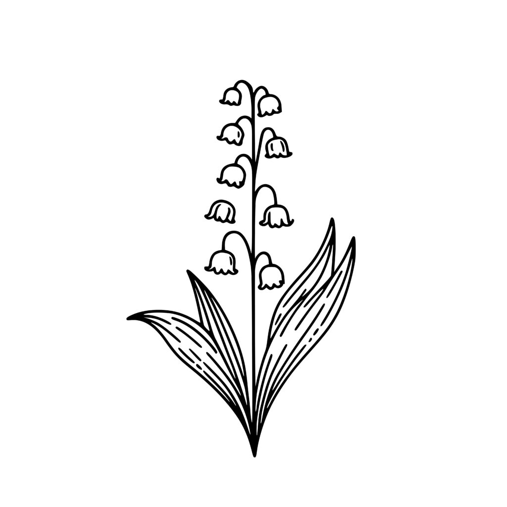 Drooping Lily of the Valley SVG for Cricut, Silhouette, Laser