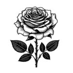 Layered Rose Bloom