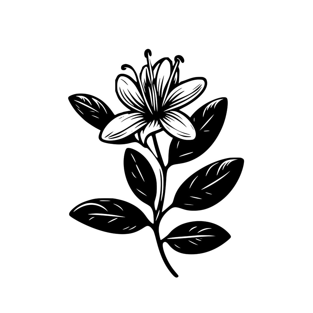 Honeysuckle Silhouette Design - SVG, PNG, DXF for Cricut Users