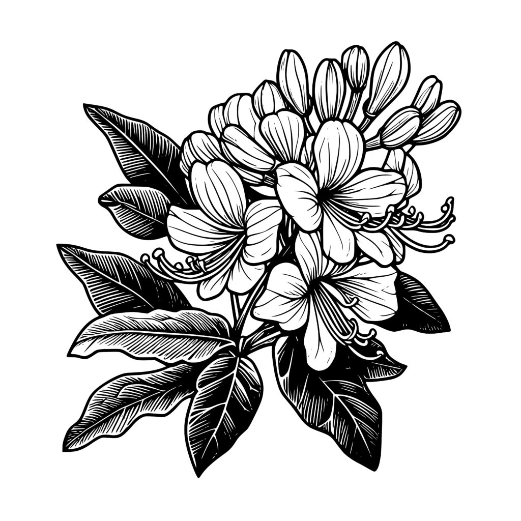 Honeysuckle Bouquet SVG Design for Cricut, Silhouette, Laser Machines