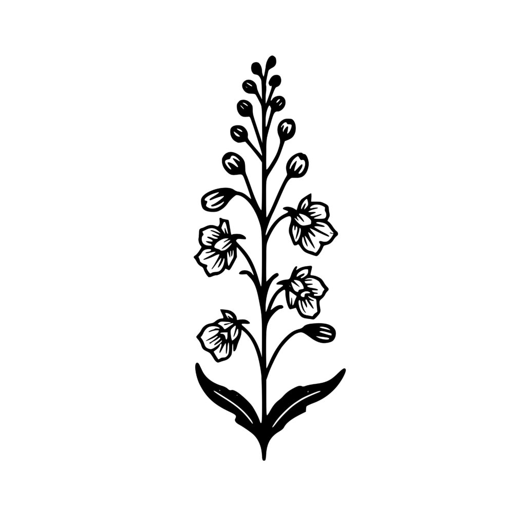 Botanical Larkspur SVG PNG DXF for Cricut Silhouette Laser