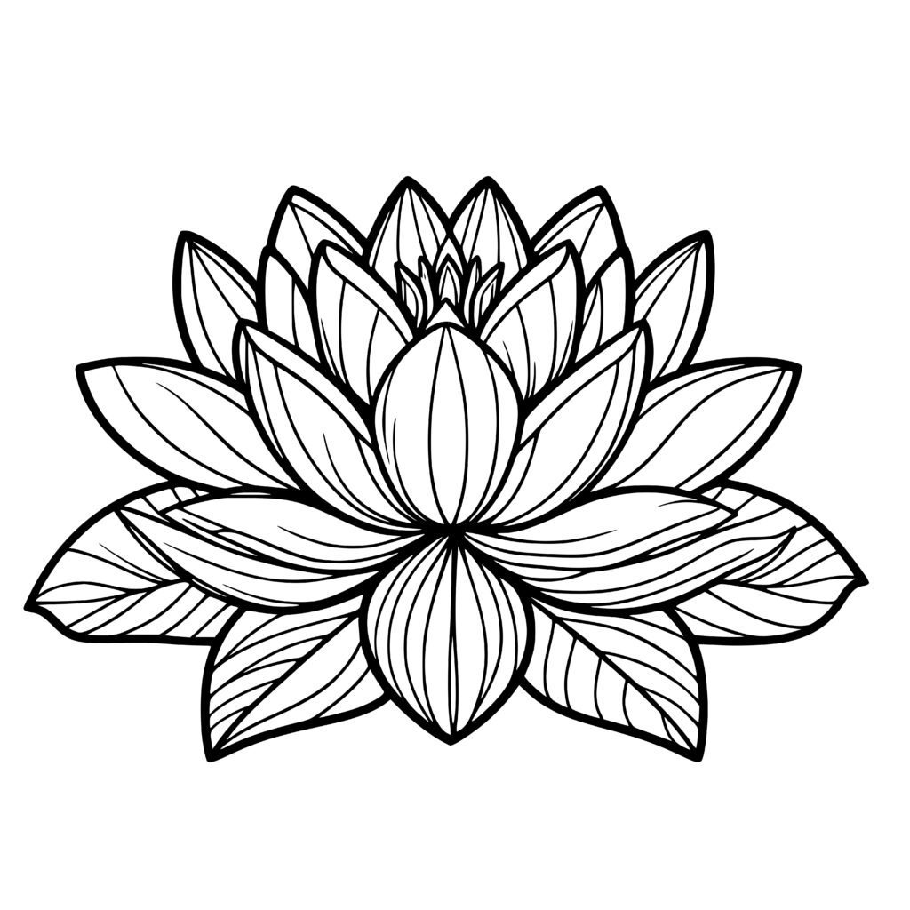 Charming Water Lily – Creative Meadow