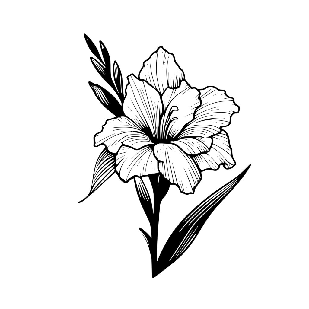 Beautiful Gladiolus Design - SVG, PNG, DXF Files for Cricut, Silhouette