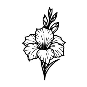 Simple Gladiolus Blossom