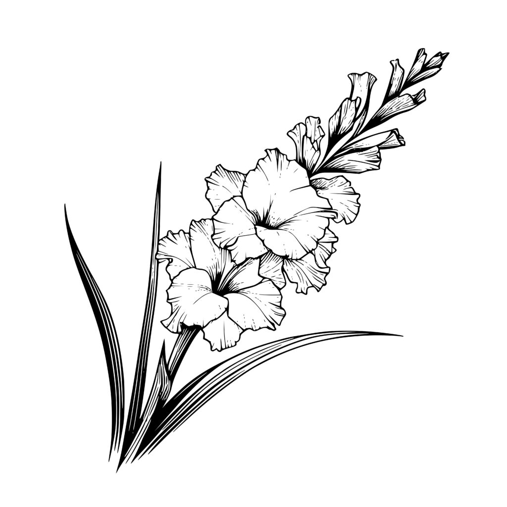 Lush Gladiolus SVG Design for Cricut, Silhouette, and Laser Machines