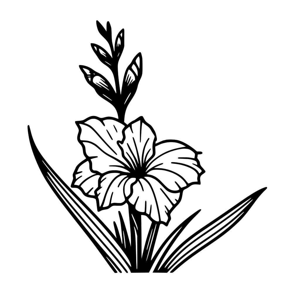 Glorious Gladiolus SVG File for Cricut, Laser, Silhouette, Cameo