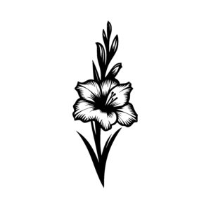 Gladiolus Elegance