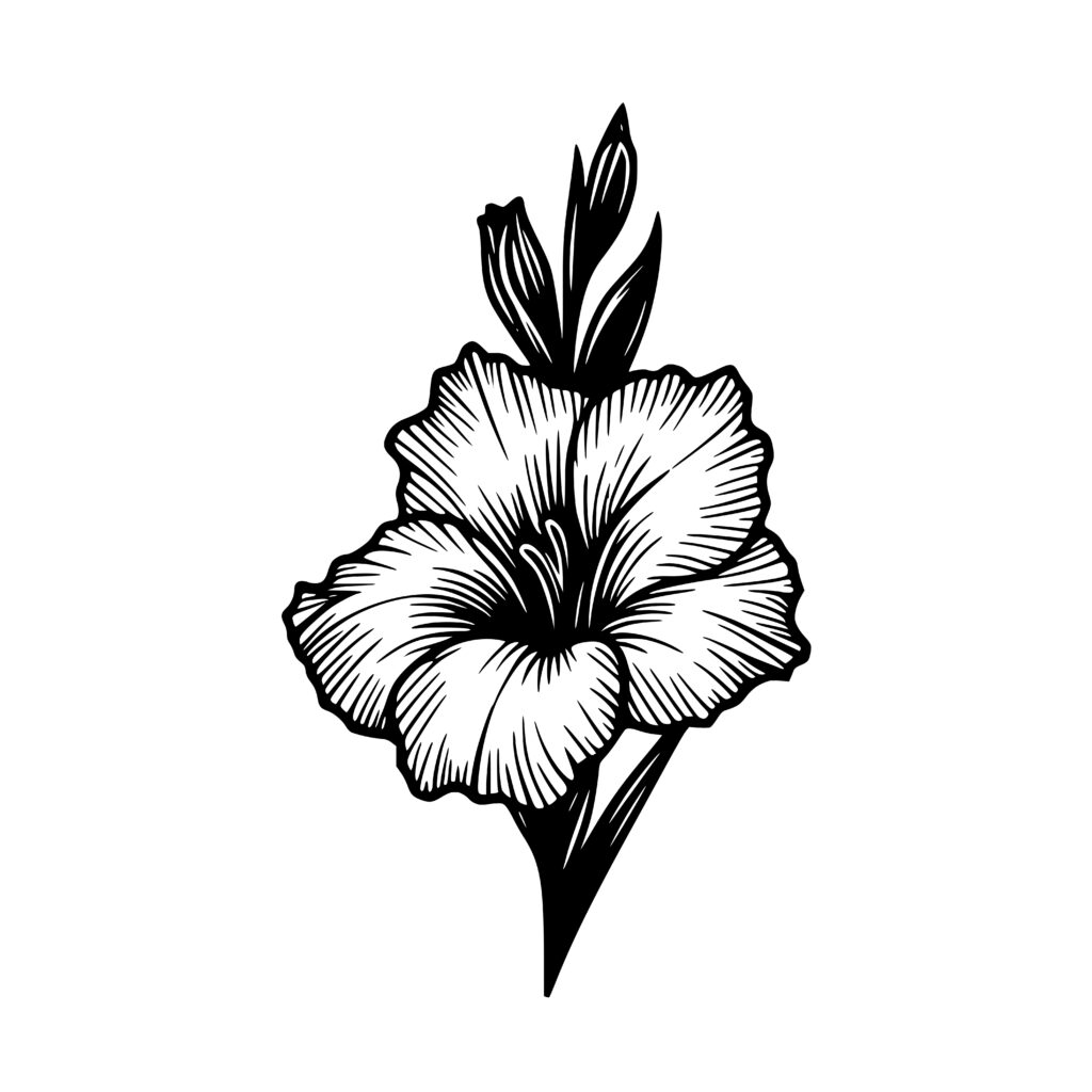 Graceful Gladiolus SVG PNG for Cricut, Silhouette, Laser Machines