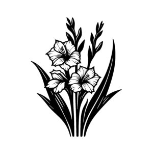Gladiolus Elegance