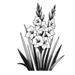 Gladiolus Flower Bunch