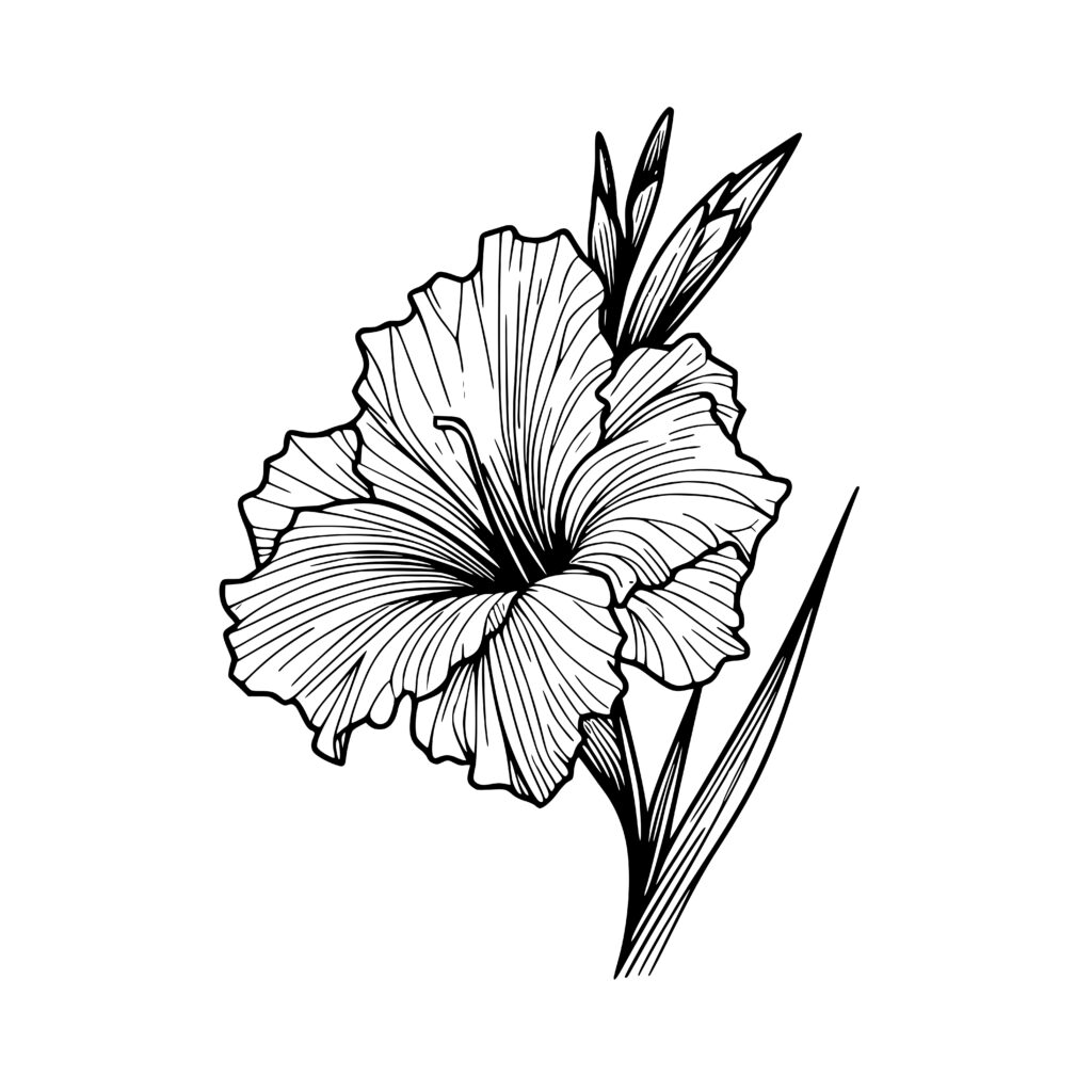 Elegant Gladiolus Design - SVG, PNG, DXF for Cricut & More