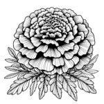 Bountiful Marigold Bloom