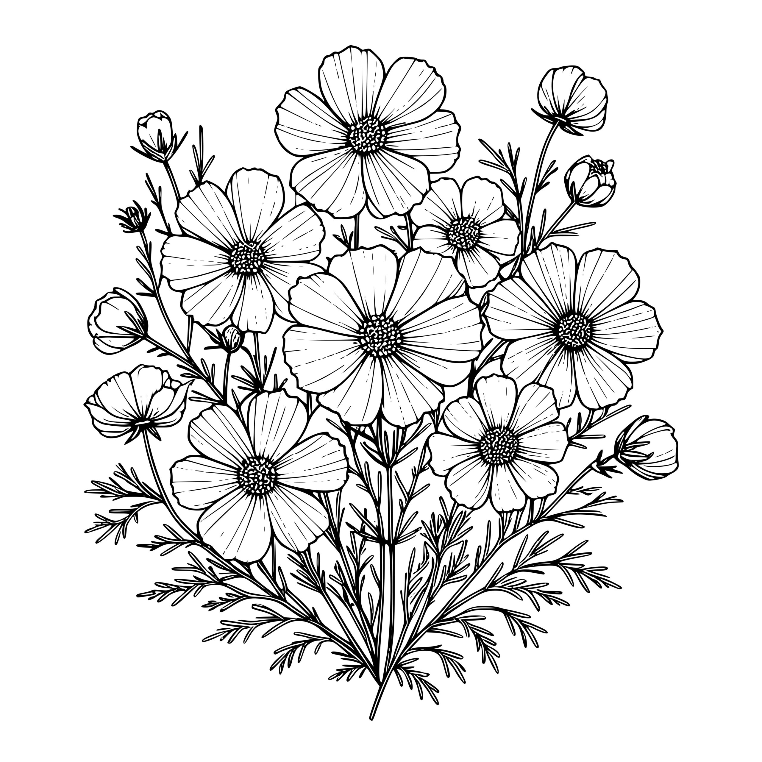 Cosmos Bouquet Design for Cricut, Silhouette, Laser Machines - SVG, PNG