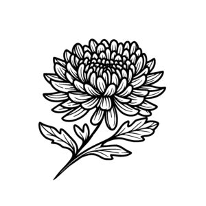 Lush Chrysanthemum Beauty