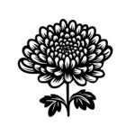 Bold Chrysanthemum Bloom