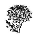 Chrysanthemum Floral Elegance