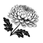 Opulent Chrysanthemum