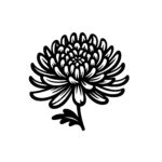 Bold Chrysanthemum