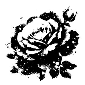 Inky Rose Bloom