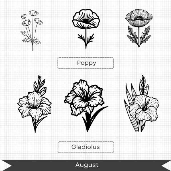 Birth Month Flowers – August