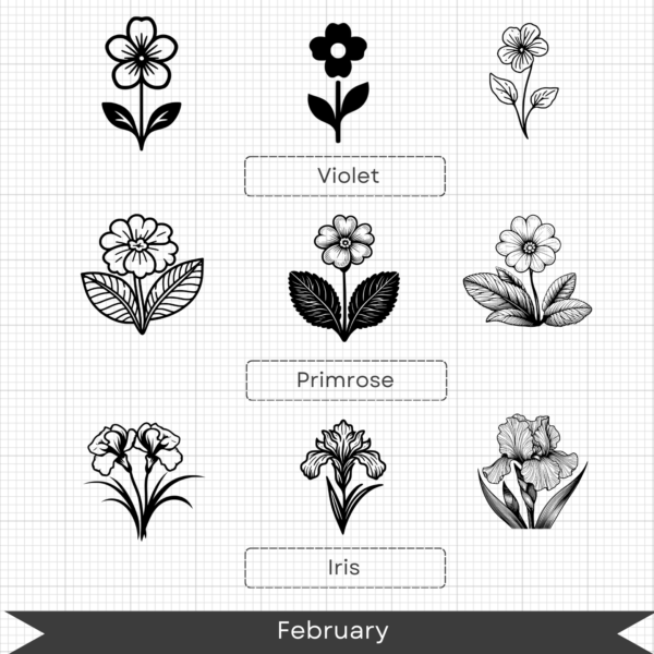 Birth Month Flowers – February