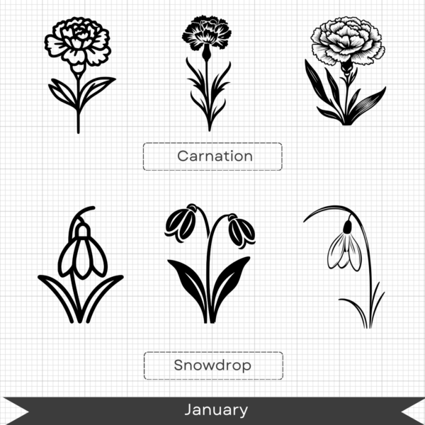 Birth Month Flowers – January