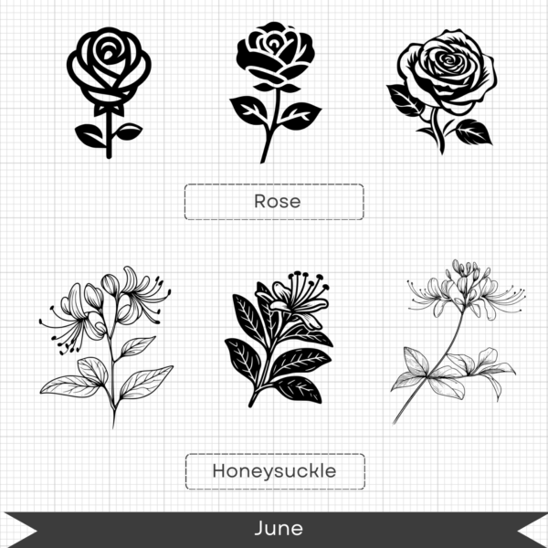 Birth Month Flowers – June