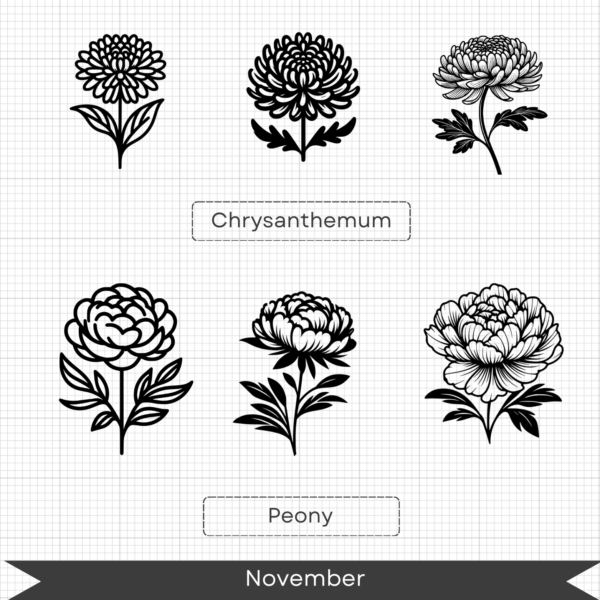 Birth Month Flowers – November