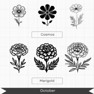 Birth Month Flowers – October