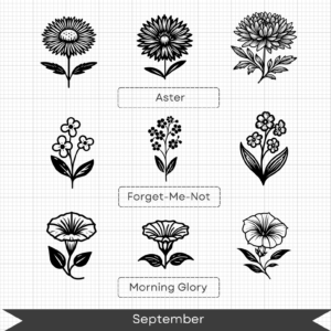Birth Month Flowers – September