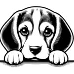 Playful Beagle Pose