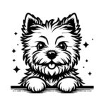 Twinkling Shaggy Cairn Terrier