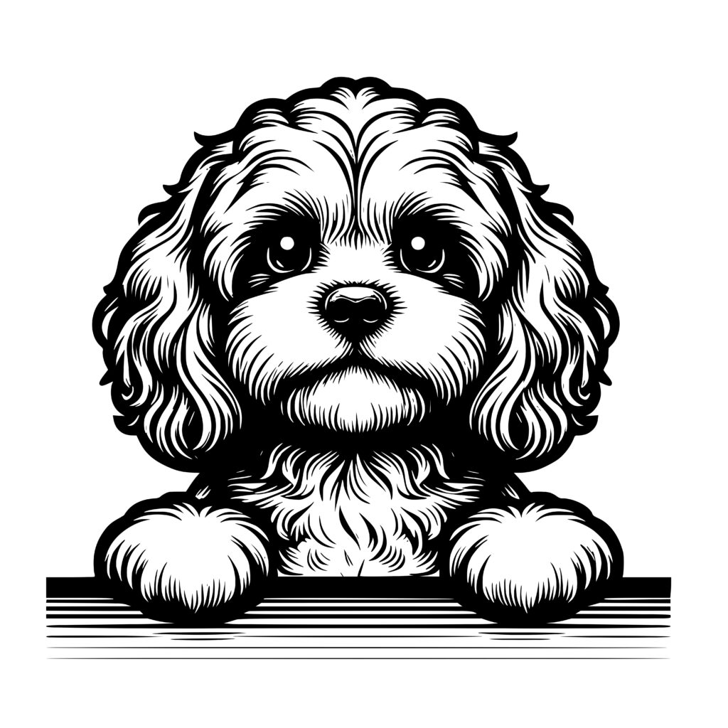 Curly Cavapoo Pooch SVG/PNG/DXF Design for Cricut Silhouette