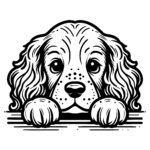 Peeking Clumber Spaniel