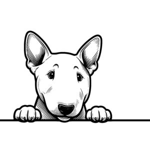 Peeking Bull Terrier Pup