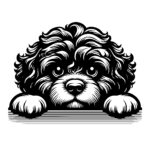 Curly Haired Portuguese Waterdog