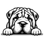 Resting Shar Pei