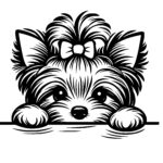 Bow-topped Peekaboo Pup