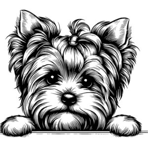 Bow-topped Yorkie
