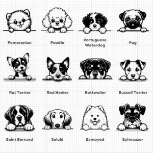 Peeking Dogs – 7 (2)