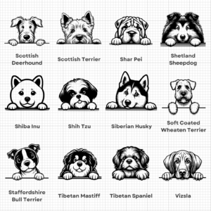 Peeking Dogs – 8 (2)