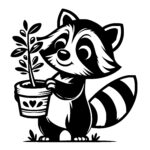 Raccoon’s Plant