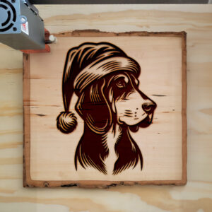 305731_wood-laser-1.jpg