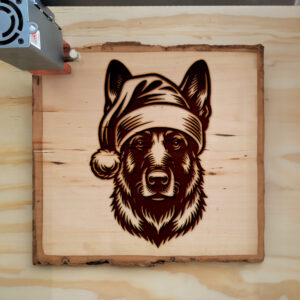 305736_wood-laser-1.jpg