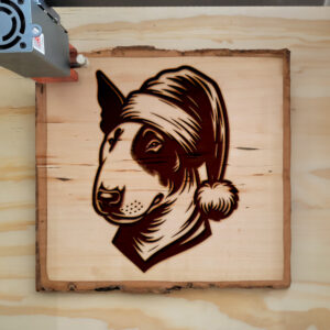 305763_wood-laser-1.jpg