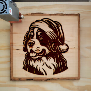 305769_wood-laser-1.jpg