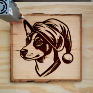 305777_wood-laser-1.jpg